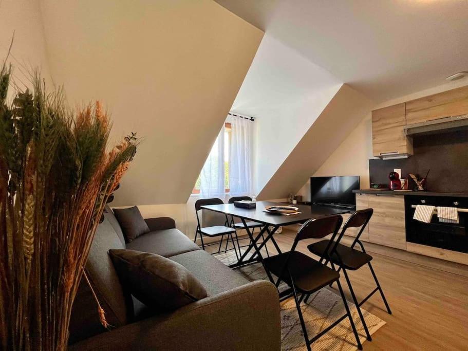 Appartement Centre-Ville / 6 Prsn / Bord Du Doubs / Au Pied De La Citadelle Besancon Ngoại thất bức ảnh